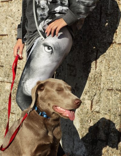 Tierfreunde Hunde Bomberjacke Digitalprint Familie Zwillinge Labrador Weimaraner